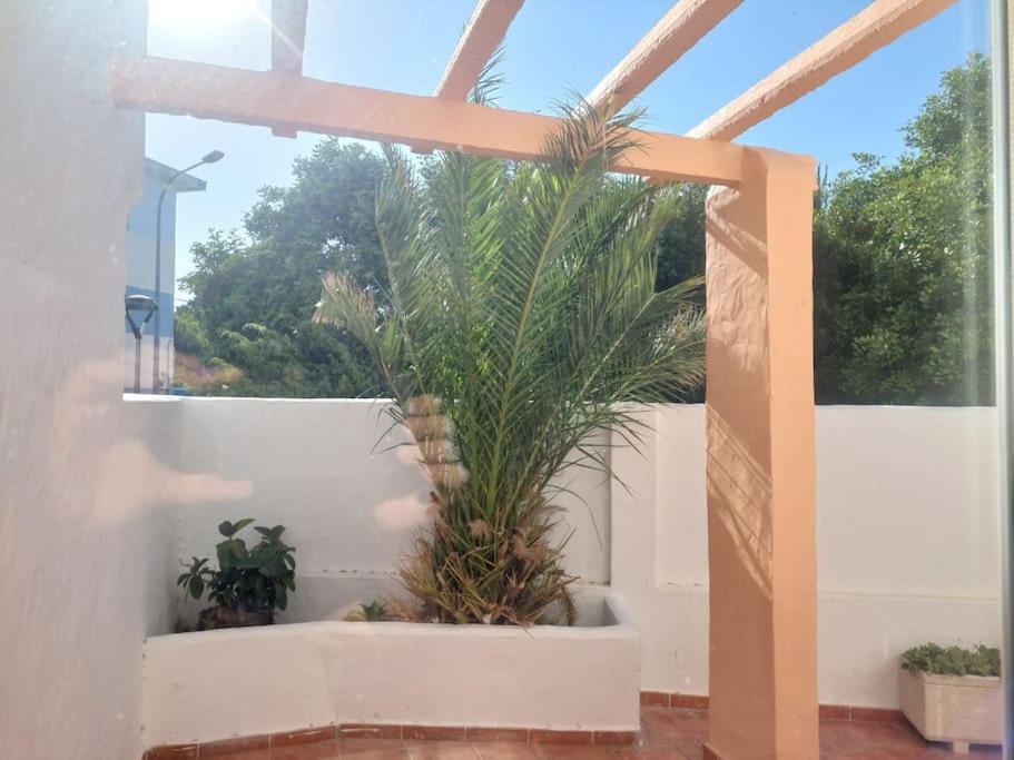 Piscina, Wifi, Patio Con Vistas