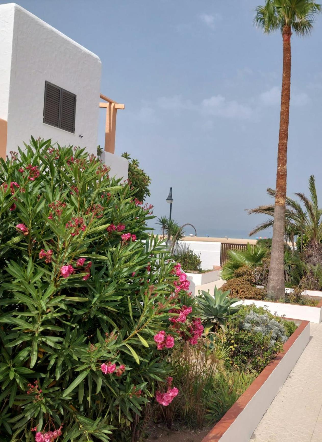 Piscina, Wifi, Patio Con Vistas Apartment Tarifa